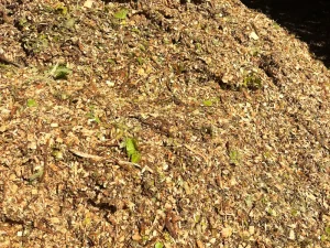 image of mulch